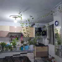 اجاره آپارتمان ۷۱ متری ۲ خوابه طبقه ۳ در قیام