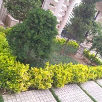 کلیه امور باغبانی تمام نقاط کرج حرفه ای و منصف|خدمات باغبانی و درختکاری|کرج, فاز ۲ مهرشهر|دیوار