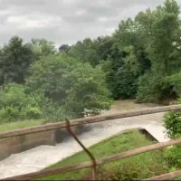 فروش ۸۰۰ متر زمین با مجوز ساخت و سوییت ۴۰ متری|فروش زمین و ملک کلنگی|سیاهکل, |دیوار