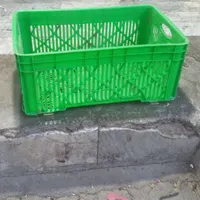 سبدمرغ۳۰کیلویی تعداد۱۵۰تا
