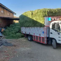 فروش کاه و یونجه همدان