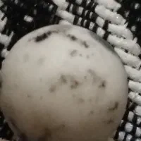 الماس اسیاب|جواهرات|گلستان (تهران), |دیوار