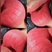 آموزش تخصصی شیدینگ لب  با مدرک|خدمات آموزشی|قزوین, |دیوار
