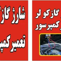 فروش انواع باطری نو و استوک ماشین و موتور|قطعات یدکی و لوازم جانبی|تهران, مطهری|دیوار