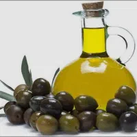 روغن زیتون و زیتون