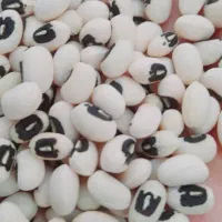 لوبیا چش بلبلی درجه یک کیلویی135 تومان