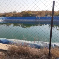 زمین ویلایی|فروش خانه و ویلا|صوفیان, |دیوار