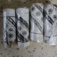 سکه ۵۰۰تومنی سرمایه