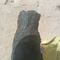 ذغال‌انگور‌