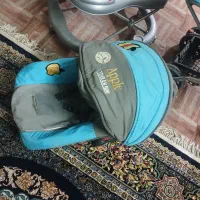 کالسکه وروک|کالسکه و لوازم جانبی|کاشان, ملا حبیبالله شریف|دیوار