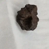 شهاب سنگ با قدرت جذب آهن ربا