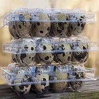 ظرف تخم بلدرچین *شفاف*