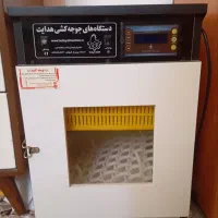 یک عدد دستگاه جوجه کسی ۴۲تای هدایت