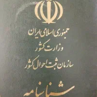 پیدا شده