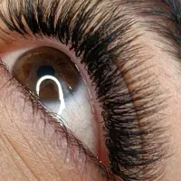 اسپایکی/کلاسیک/والیوم