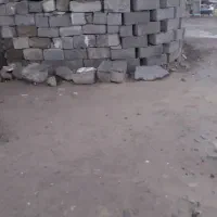 پهن. خوشگ.گاو.