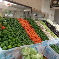 استخدام راننده وانت