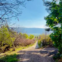 فروش باغ شهری در شهرفاروق