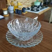 کاسه و دیس پذیرایی