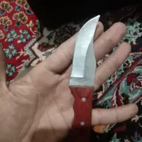 چاقو کوچیک کوهستانی|کوهنوردی و کمپینگ|گالیکش, |دیوار