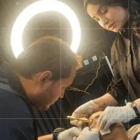 جشنواره بوتاکس