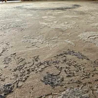 فرش ماشینی برند Avat|فرش|شیراز, ارم|دیوار