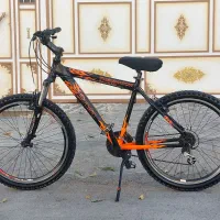 دوچرخه ۲۶ ویوا تایوانی