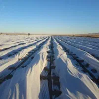 فوم های (ضدسرما)