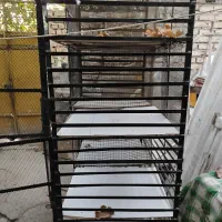 قفس کفتر پرنده کبوتر|لوازم جانبی حیوانات|حبیب آباد, |دیوار