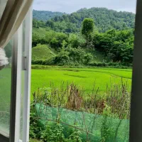 اجاره ویلاجنگلی درطبیعت زیبا ودلنوازگشت رودخان|اجارهٔ کوتاه‌مدت ویلا و باغ|فومن, |دیوار