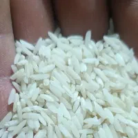 برنج محلی