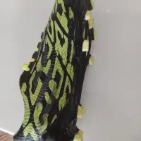 کفش استوک دار