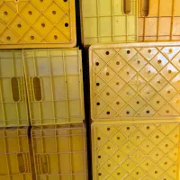 جعبه سبد لبنیاتی|ظروف نگهدارنده، پلاستیکی، یک‌بارمصرف|اردبیل, |دیوار