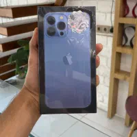 13 پرو مکس پلمپ