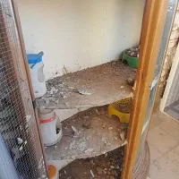 قفس پرنده|لوازم جانبی حیوانات|تربت جام, والفجر|دیوار