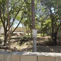 باغچه-380-متری