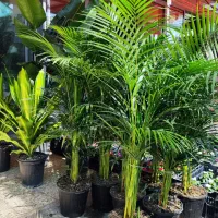 استخدام کارگر ساده آقا(نیروی کار پاره وقت)