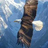 جویای کار نگهبانی و حراست هستم