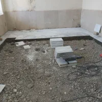 پرنده|پرنده|جزنیک, |دیوار