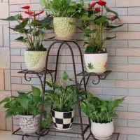 گل سبز با پایه هم خونه