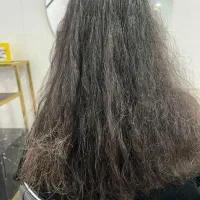 آموزش صفر تا صد ابریشم سازی و احیای مو|خدمات آموزشی|نیشابور, مدرس|دیوار