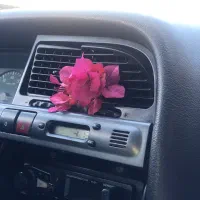 زانیتا مدل ۸۵