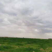 فروش فوق العاده زمین کشاورزی|فروش دفتر صنعتی، کشاورزی، تجاری|شیراز, قصرالدشت|دیوار