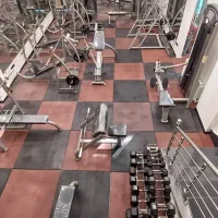 فروش جاروکش باشگاه