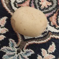 نمیدونم چه سنگی هست