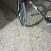 دوچرخه ۲۸|دوچرخه، اسکیت، اسکوتر|شهرکرد, |دیوار