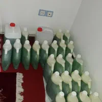 تولید مایع ظرفشویی|مواد شوینده و دستمال کاغذی|خرمآباد, |دیوار