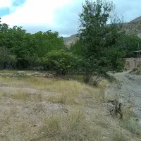باغ ۳ هزار متری میوه و گردو با درختان کهنسال|فروش زمین و ملک کلنگی|مشهد, تبادکان|دیوار