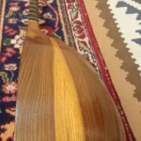 تنبور پاشنه ای فروتن