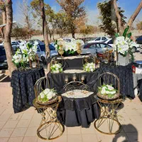 تشریفات آسمان ـ میرآرایی ـ مداح ـ نیرو